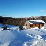 Lesni