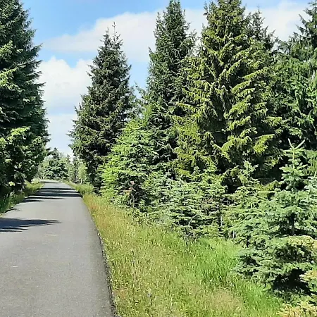 Alpesi faház Lesni