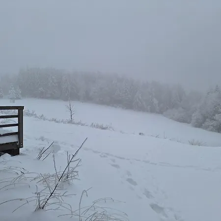 Alpesi faház Lesni