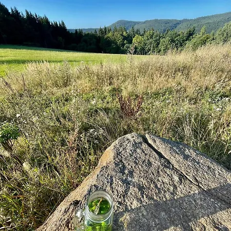 Lesni Alpesi faház Klíny
