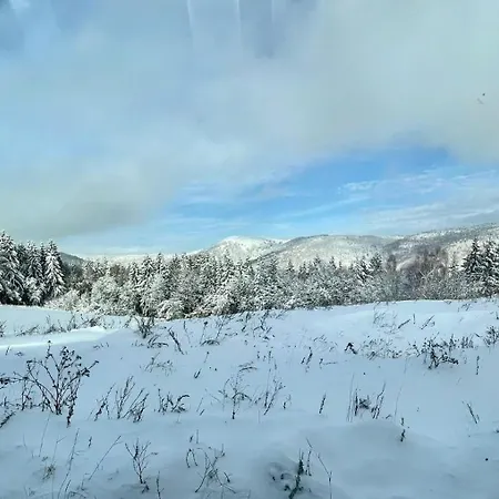 Lesni Alpesi faház Klíny