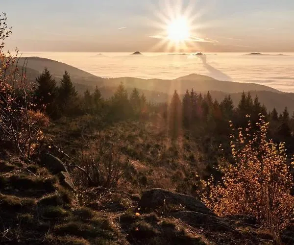 Domek alpejski Lesni Klíny