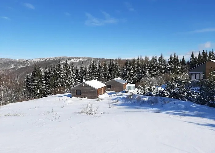 Lesní Klíny