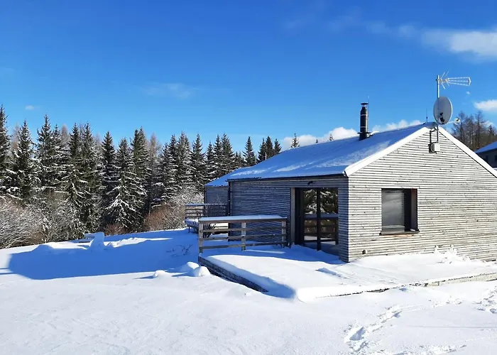 Lesní * Klíny