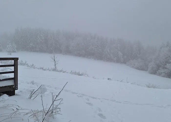 Domek alpejski Lesni