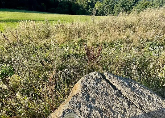 Lesni Domek alpejski Klíny